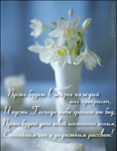 Тост оставайся таким же Тост оставайся таким же
