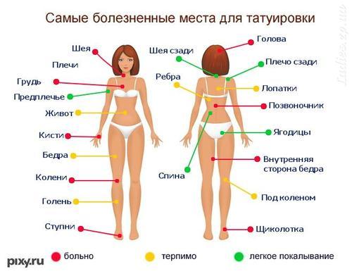 Азалия: виды, описание и фото «Дочь к чему снится во сне? Если видишь во сне Дочь, что значит?»