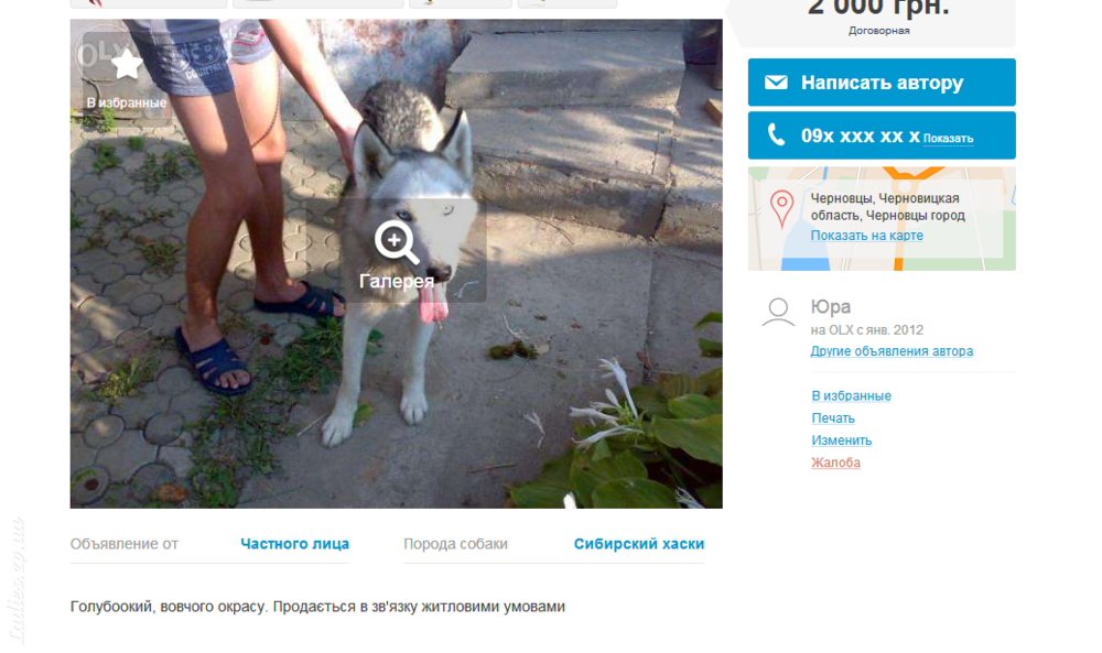 Изображение