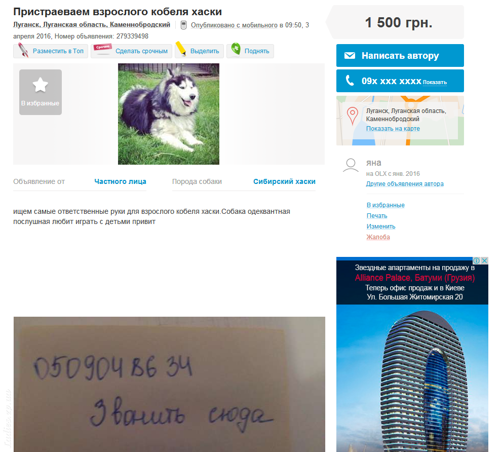 Изображение
