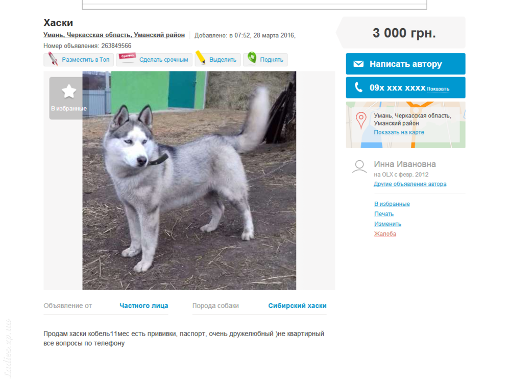 Изображение