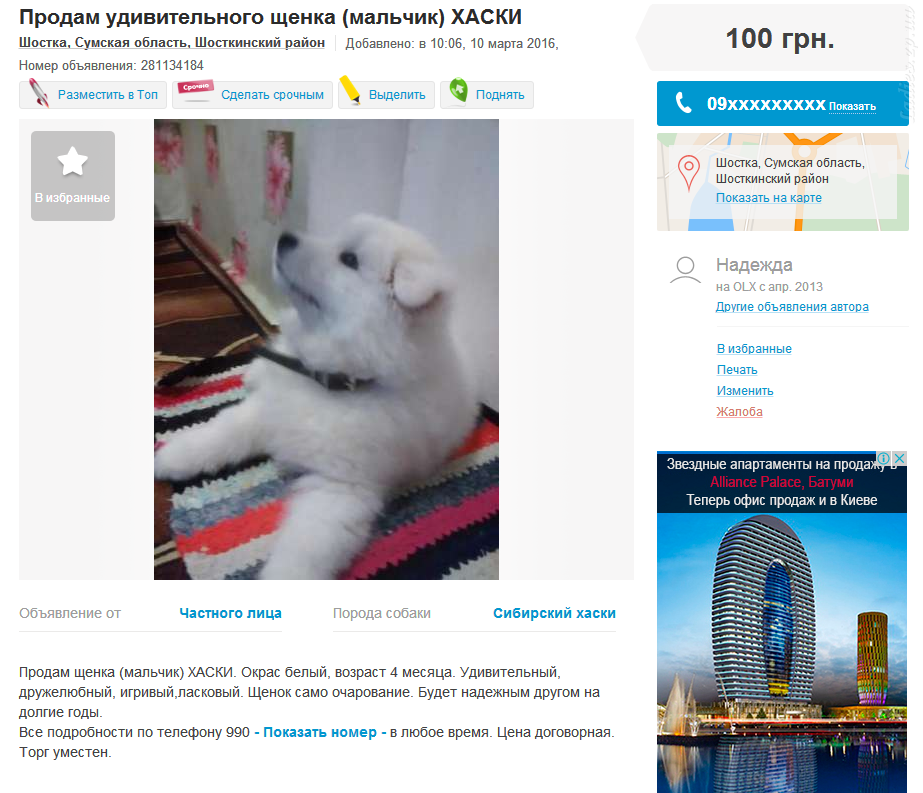 Изображение