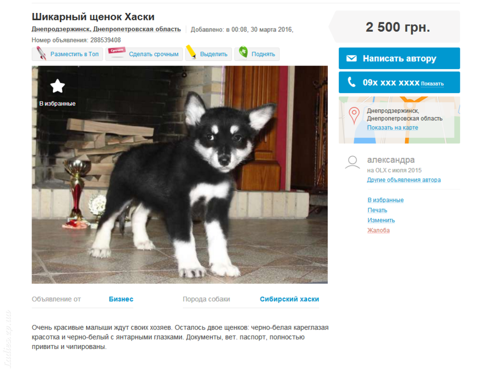 Изображение